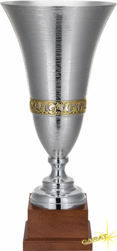 Carat Pokal Coma Berenices