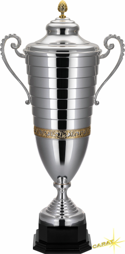 Carat Pokal Ara