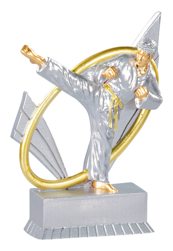 Karate Trophäe