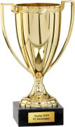 Pokal Arcturus