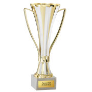 Pokal Phoenix 2