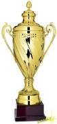 Carta Pokal Aquila