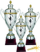 Carat Pokal Pokal Octans