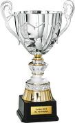 3er Pokal Camelopardalis