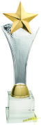 Carat Pokal Draco