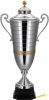 Carat Pokal Ara