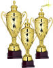 Carta Pokal Aquila