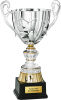 3er Pokal Camelopardalis